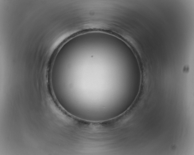 X0000114220983200910091343