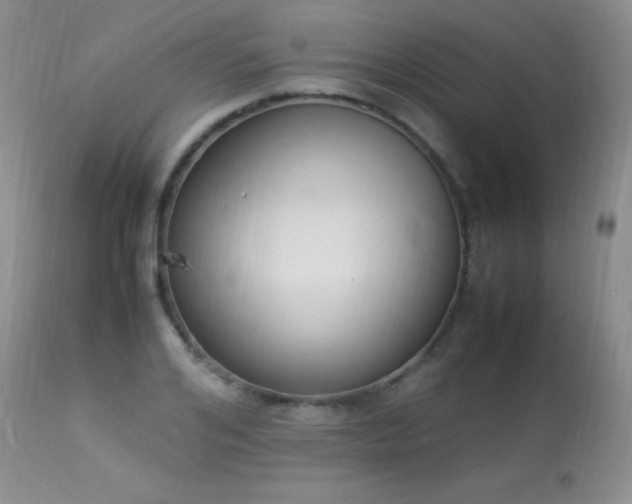 X0000114220984200910091343