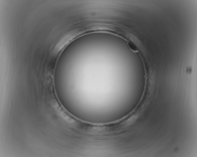 X0000114220985200910091343