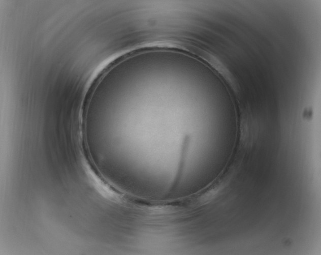 X0000114220988200910091343
