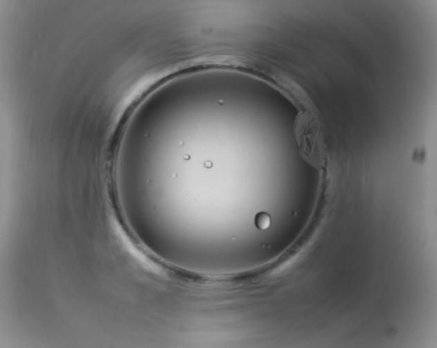 X0000114220989200910091343