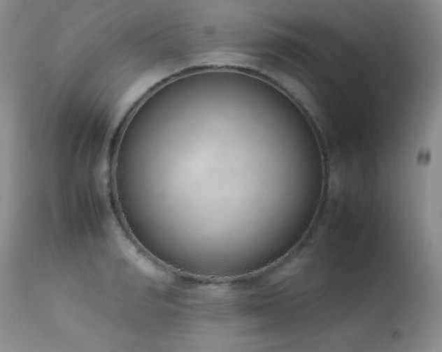 X0000114220990200910091343