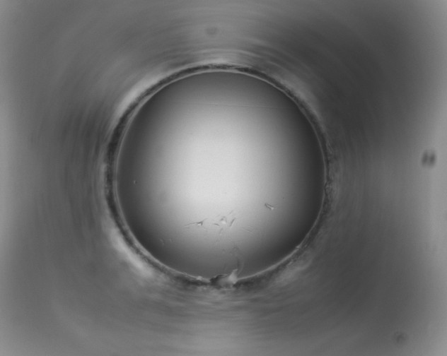X0000114220991200910091343