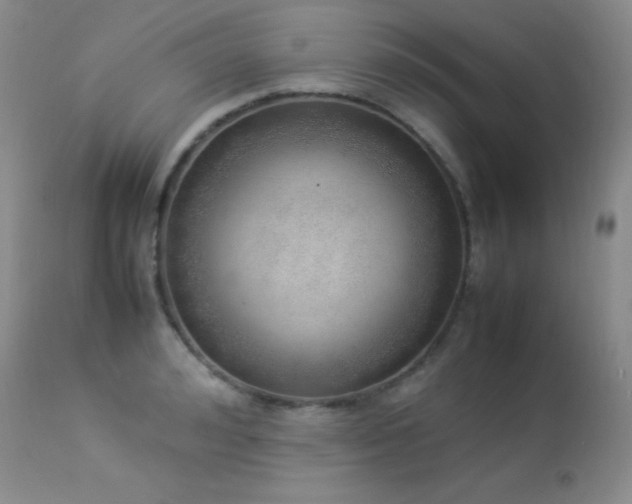 X0000114220992200910091343