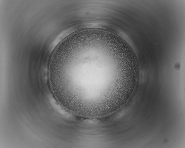 X0000114220994200910091343