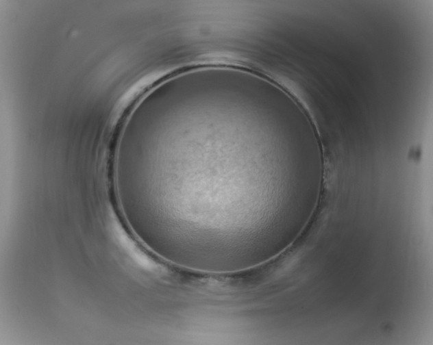 X0000114220995200910091343