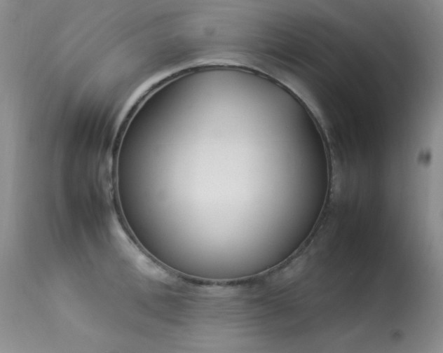 X0000114220996200910091343