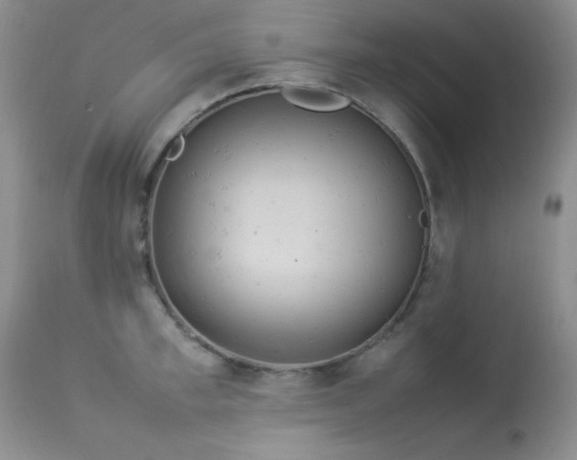 X0000114220997200910091343