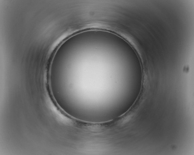 X0000114220999200910091343