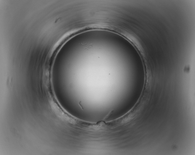 X0000114221000200910091343