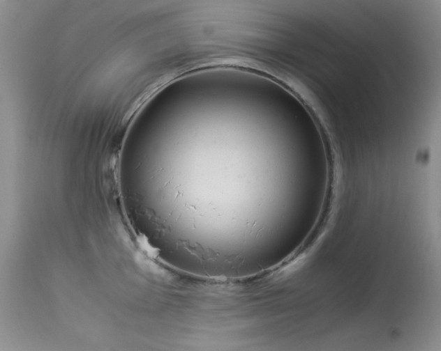 X0000114221001200910091343