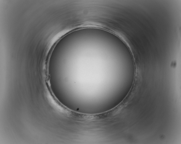 X0000114221003200910091343