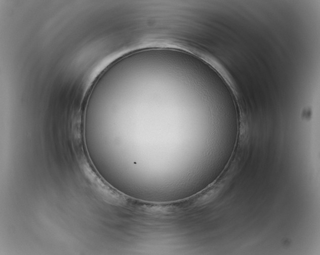 X0000114221004200910091343