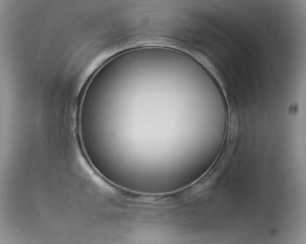 X0000114221005200910091343