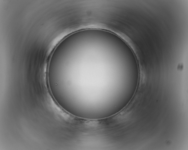 X0000114221006200910091343
