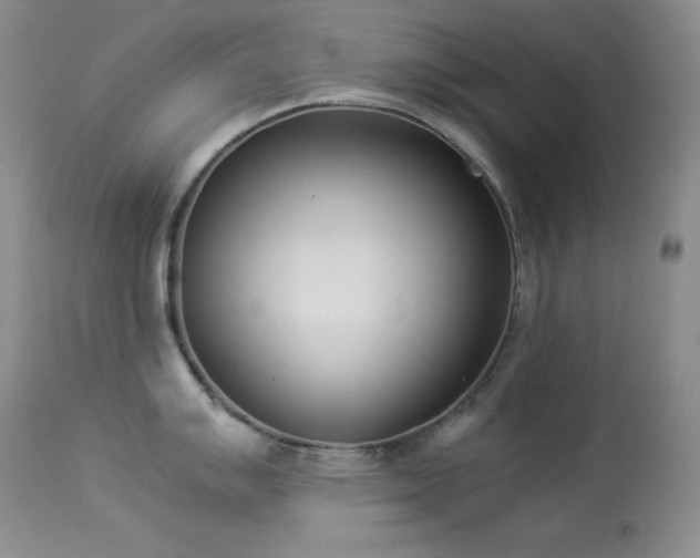 X0000114221007200910091343
