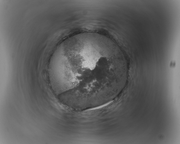 X0000114221009200910091342