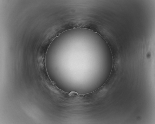 X0000114221010200910091342
