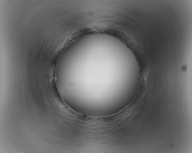 X0000114221012200910091342