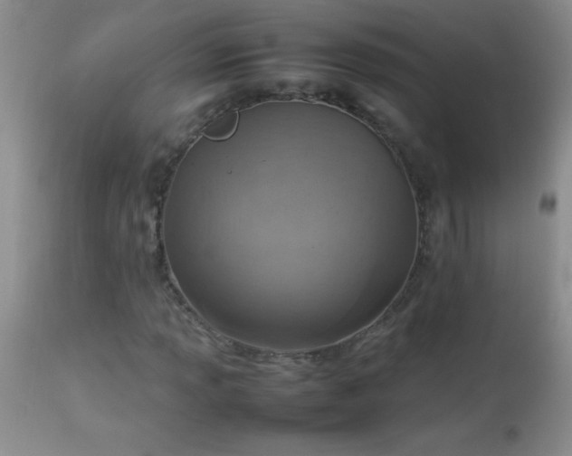 X0000114221013200910091342