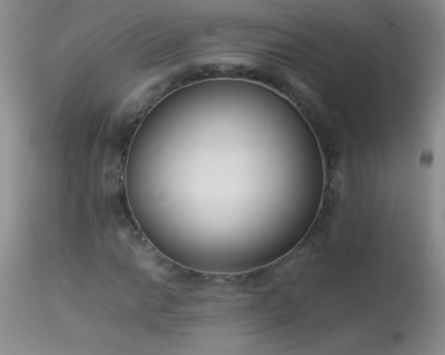 X0000114221014200910091342