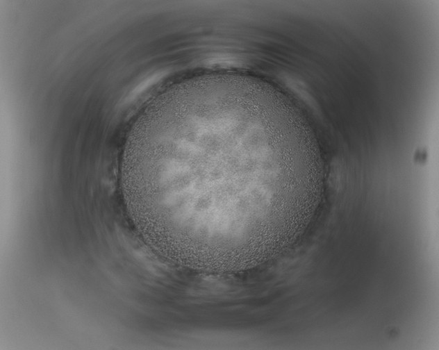 X0000114221015200910091342