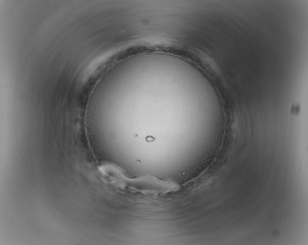 X0000114221016200910091342