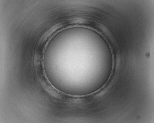 X0000114221017200910091342