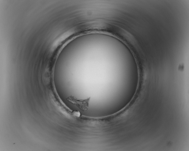 X0000114221018200910091342