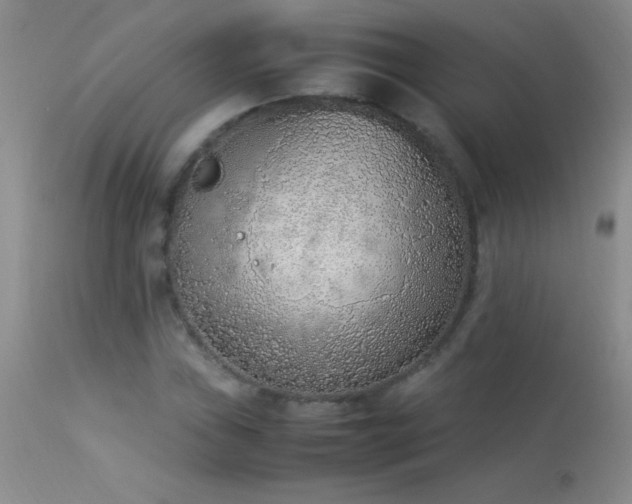 X0000114221019200910091342