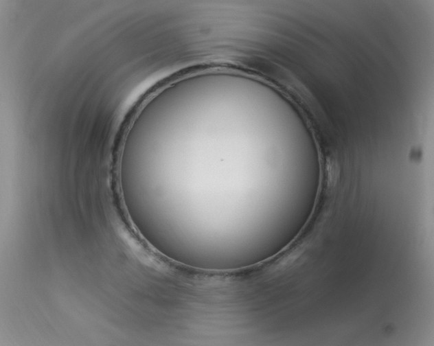 X0000114221020200910091342