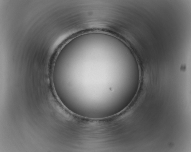 X0000114221022200910091342