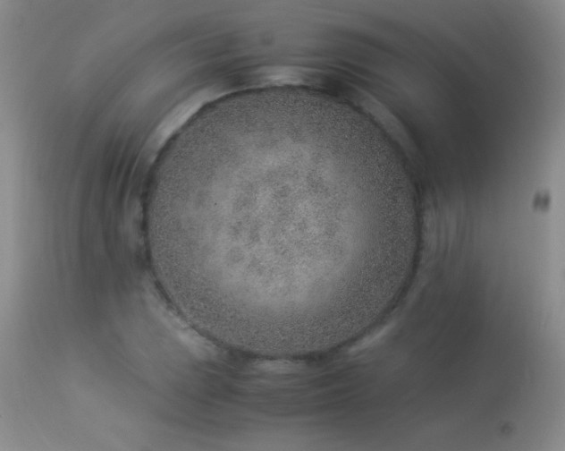 X0000114221023200910091342