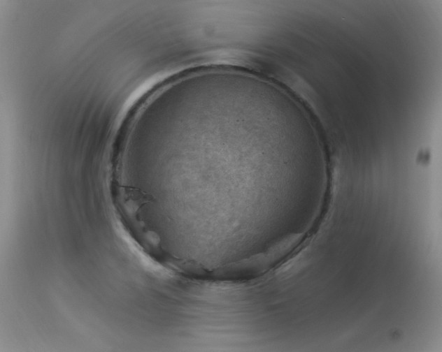 X0000114221024200910091342