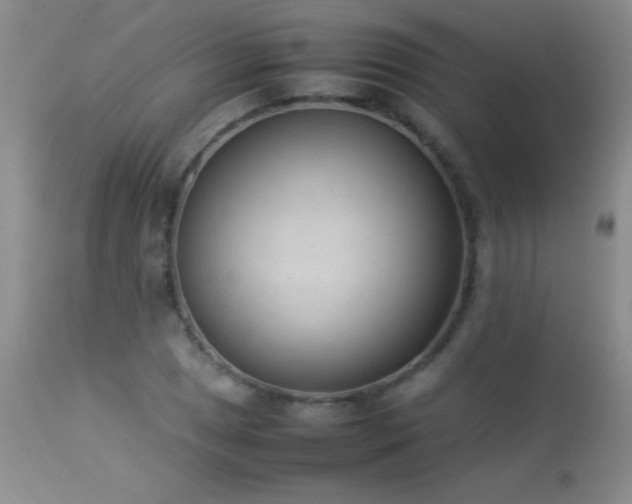 X0000114221025200910091342