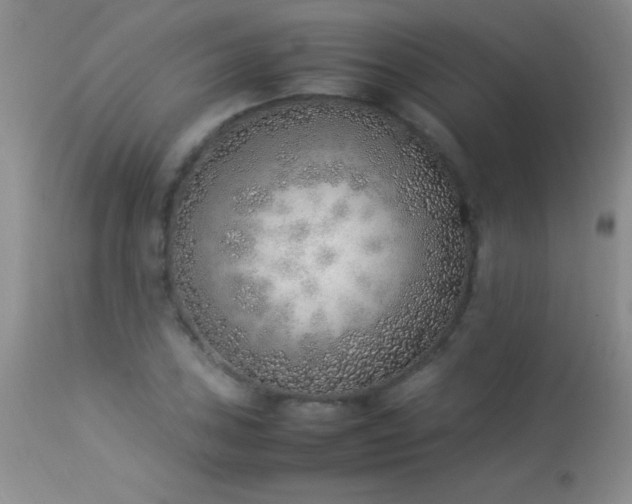 X0000114221027200910091342