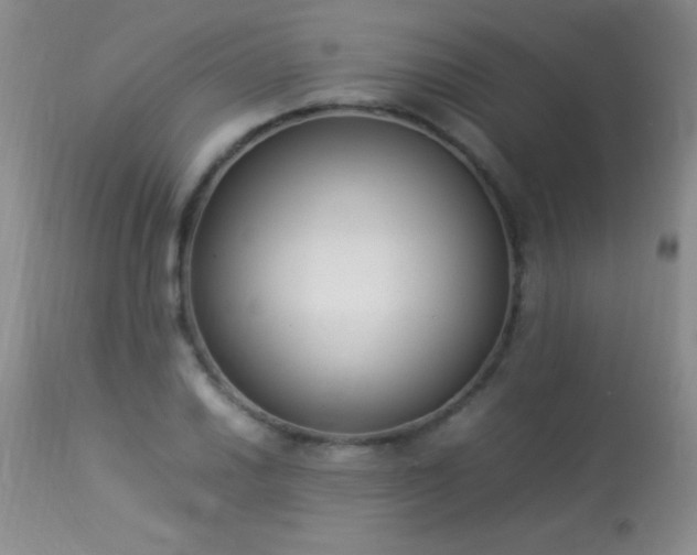 X0000114221030200910091343