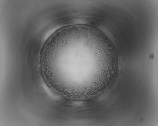 X0000114221031200910091343