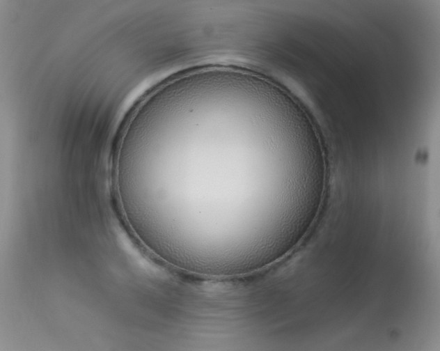 X0000114221032200910091343