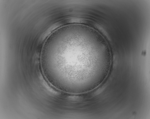 X0000114221033200910091343
