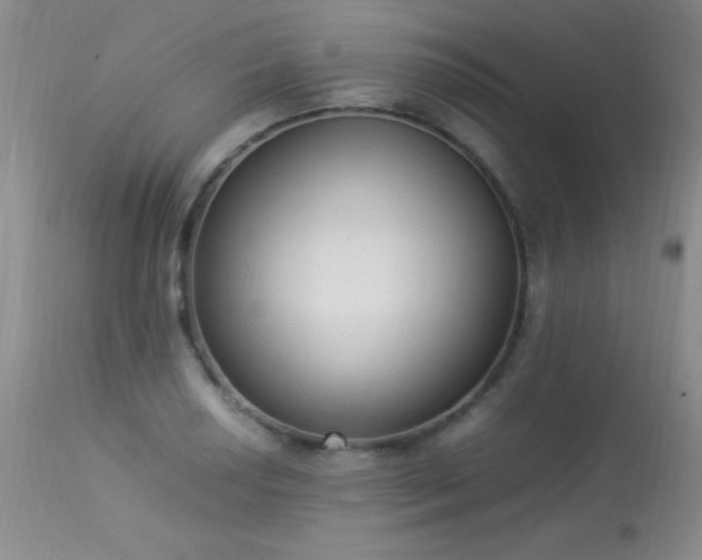 X0000114221034200910091343