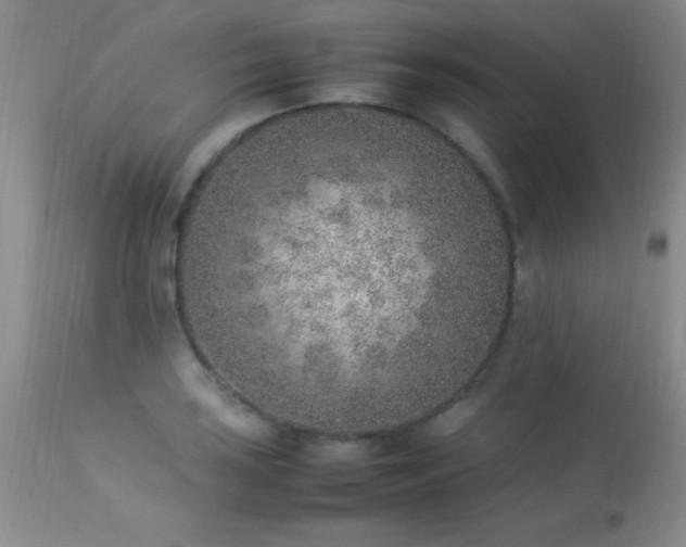 X0000114221035200910091343