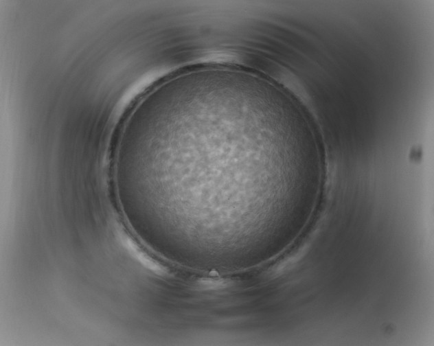 X0000114221037200910091343