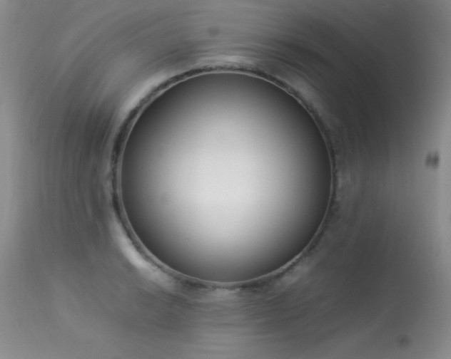 X0000114221038200910091343