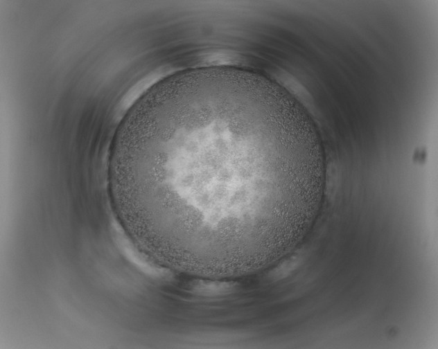 X0000114221039200910091343