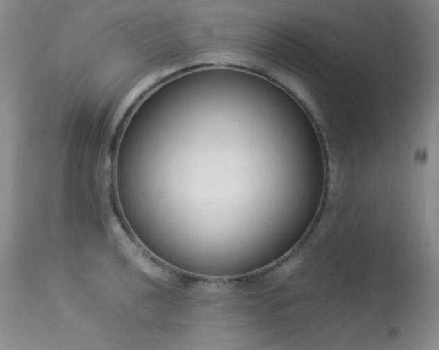 X0000114221040200910091343