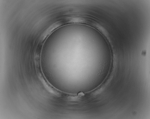 X0000114221041200910091343