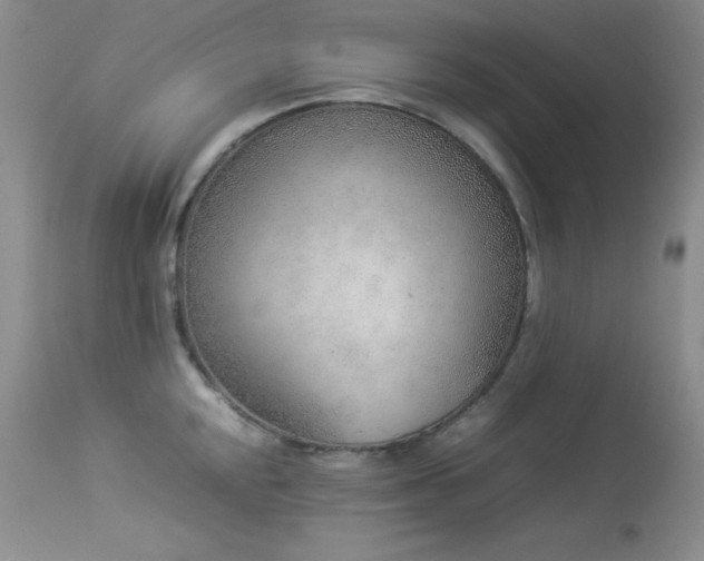 X0000114221048200910091343