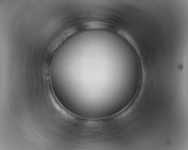 X0000114221049200910091343