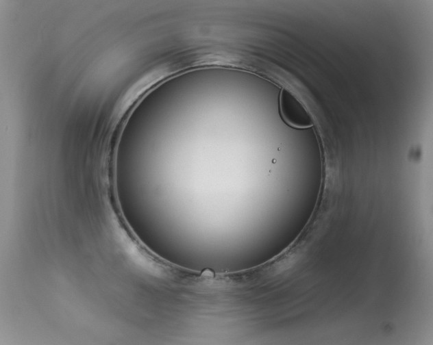 X0000114221050200910091343